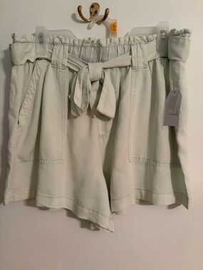 Time and Tru High-Waist Paperbag Tie Shorts in Sage Green